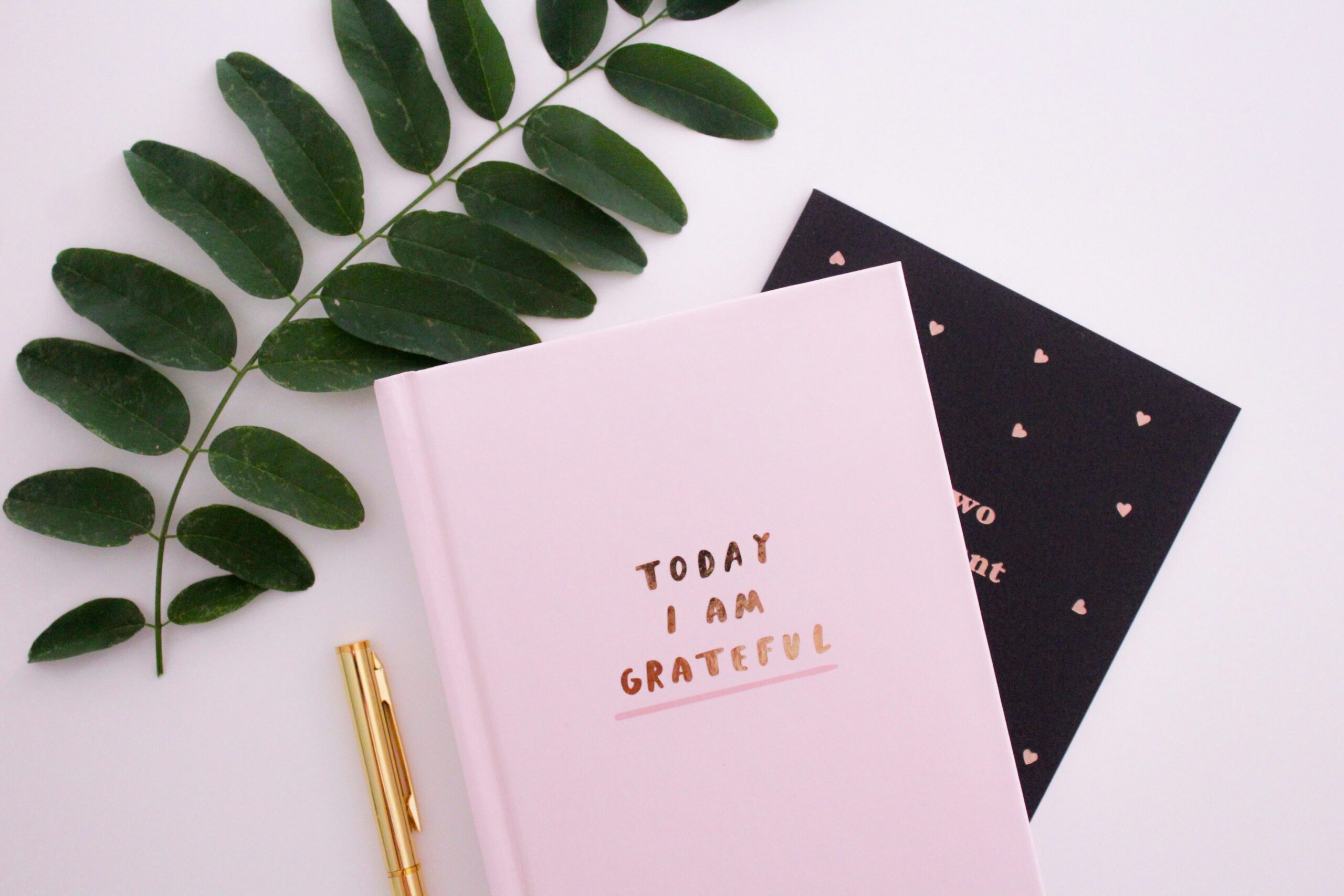 Practicing gratitude with a journal.